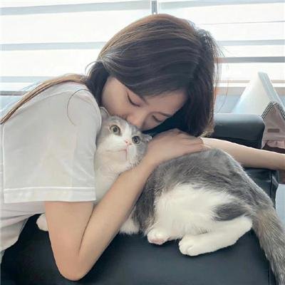 电影奇谭 在线观看