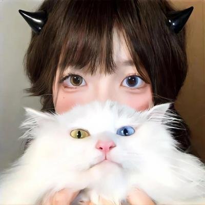 9号秘事第七季 在线观看